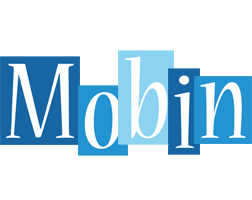 Mobin winter logo