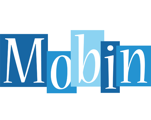Mobin winter logo