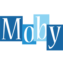 Moby winter logo