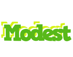 Modest picnic logo
