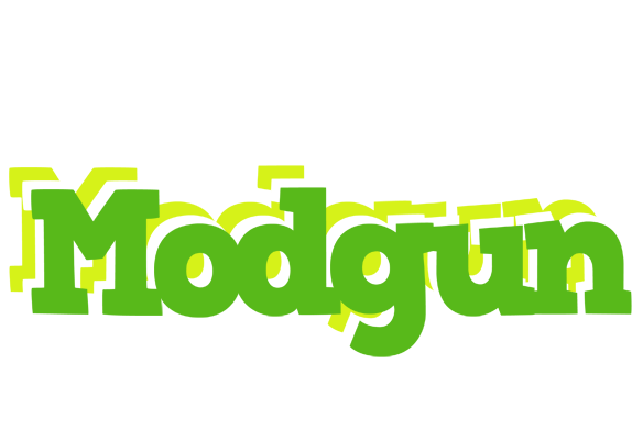 Modgun picnic logo
