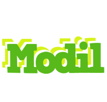 Modil picnic logo