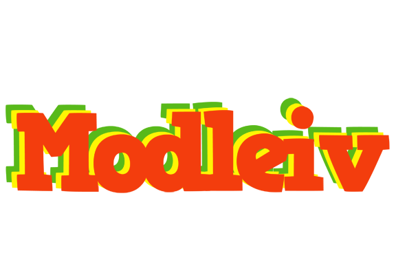 Modleiv bbq logo