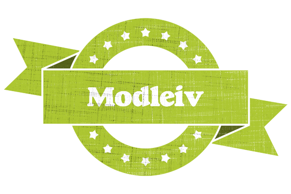 Modleiv change logo
