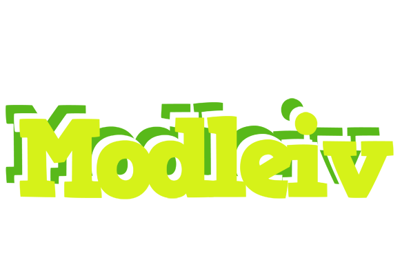 Modleiv citrus logo