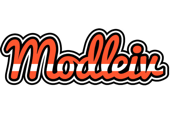 Modleiv denmark logo