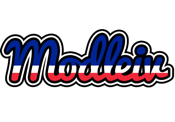 Modleiv france logo
