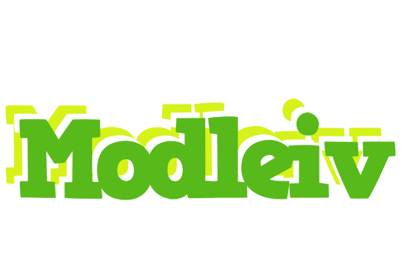Modleiv picnic logo