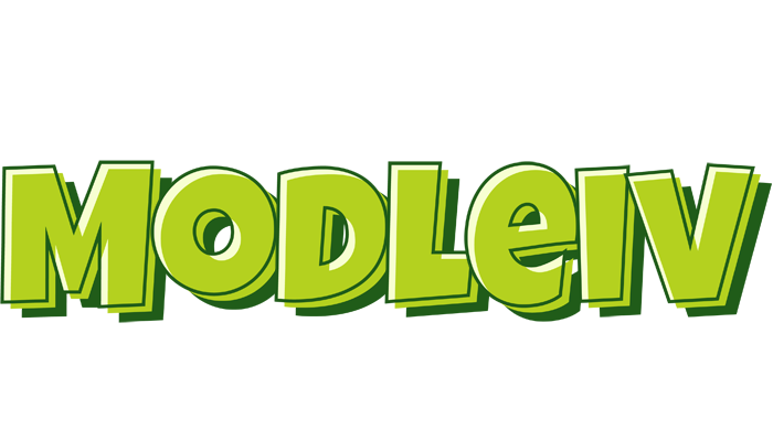 Modleiv summer logo
