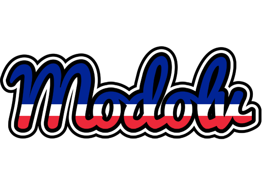 Modolv france logo