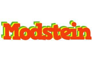 Modstein bbq logo