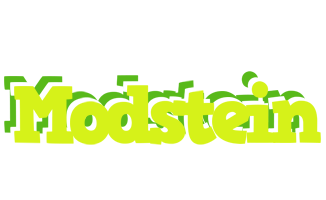 Modstein citrus logo