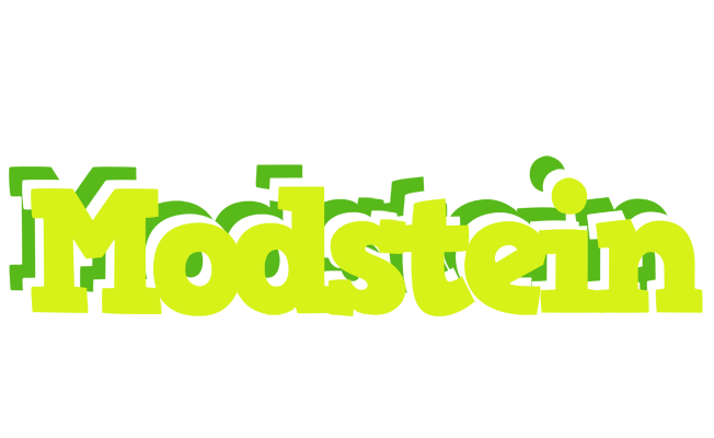 Modstein citrus logo