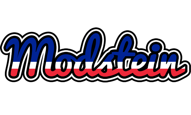 Modstein france logo