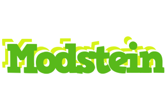 Modstein picnic logo