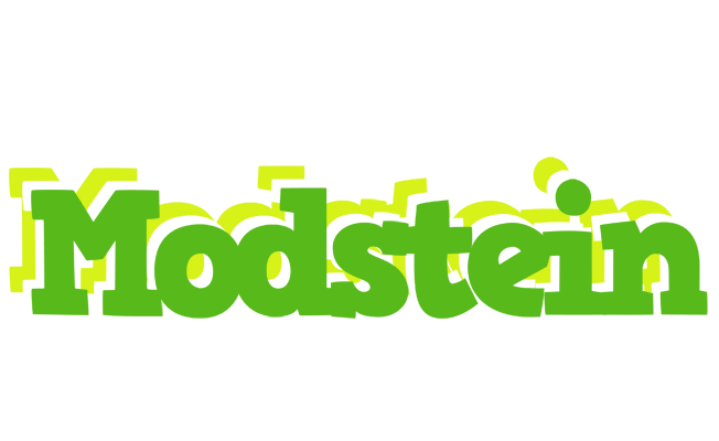 Modstein picnic logo