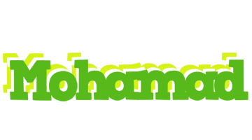 Mohamad picnic logo