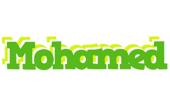 Mohamed picnic logo