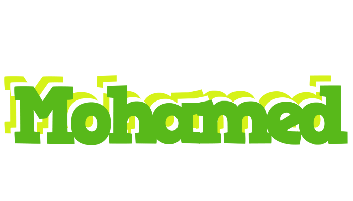 Mohamed picnic logo