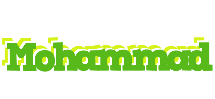 Mohammad picnic logo