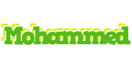 Mohammed picnic logo