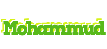 Mohammud picnic logo