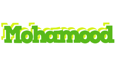 Mohamood picnic logo