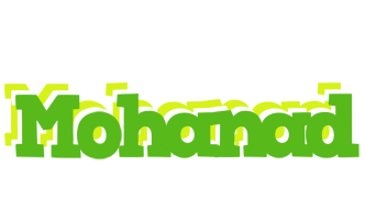 Mohanad picnic logo