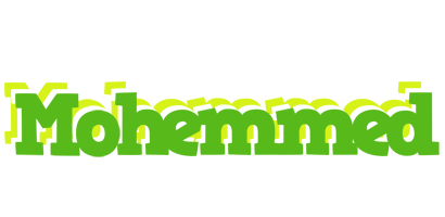 Mohemmed picnic logo