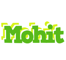 Mohit picnic logo