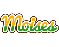 Moises banana logo