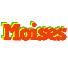 Moises bbq logo