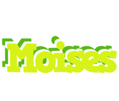 Moises citrus logo