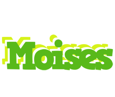 Moises picnic logo