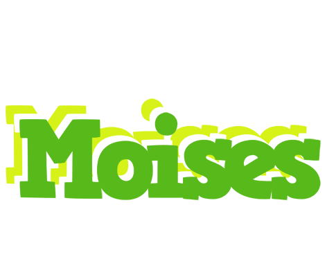 Moises picnic logo