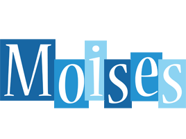 Moises winter logo