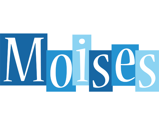 Moises winter logo
