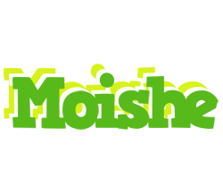Moishe picnic logo