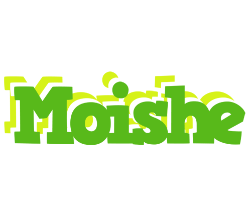 Moishe picnic logo