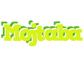 Mojtaba citrus logo