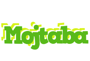 Mojtaba picnic logo