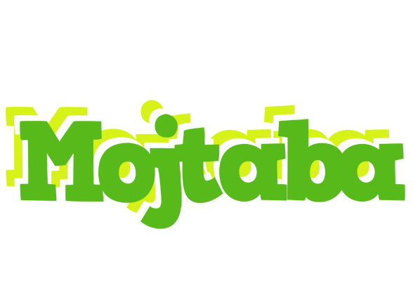 Mojtaba picnic logo
