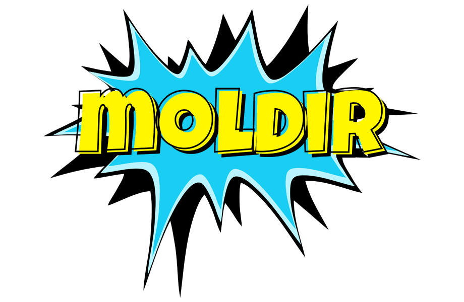 Moldir amazing logo