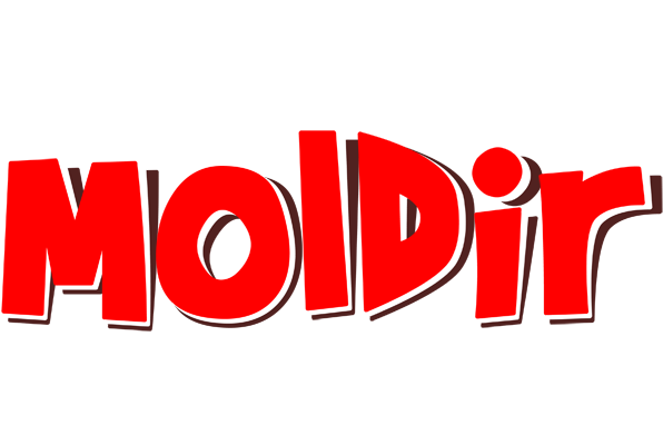 Moldir basket logo