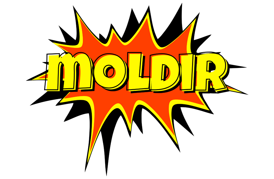 Moldir bazinga logo