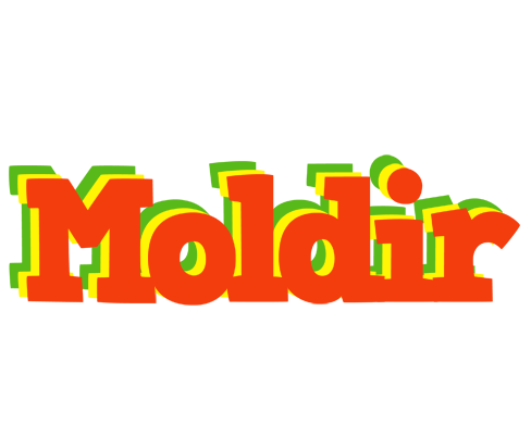 Moldir bbq logo
