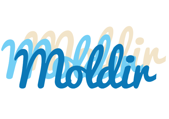 Moldir breeze logo
