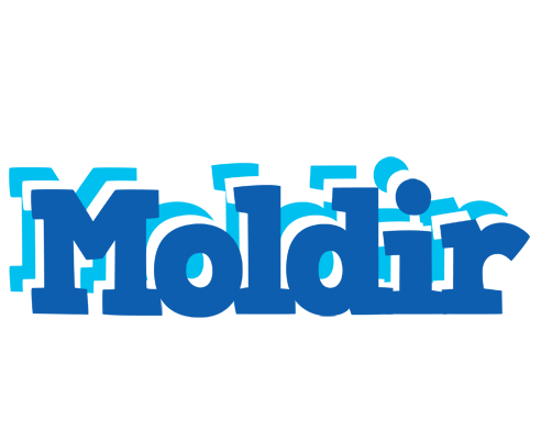 Moldir business logo