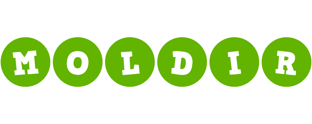 Moldir games logo