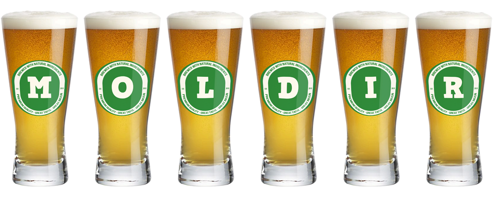 Moldir lager logo